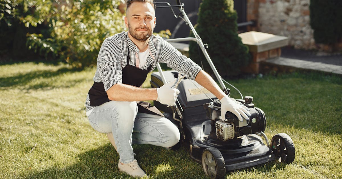 Scottsdale Lawn Care